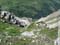 arosa