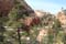 zion nationalpark