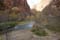 zion nationalpark