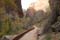 zion nationalpark