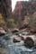zion nationalpark
