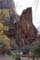 zion nationalpark