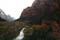 zion nationalpark