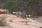 zion nationalpark