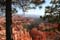 bryce canyon
