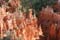 bryce canyon