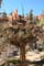 bryce canyon