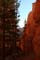 bryce canyon
