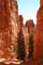 bryce canyon