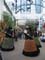 Europapark + Terenzi Horror Night mit Steffi